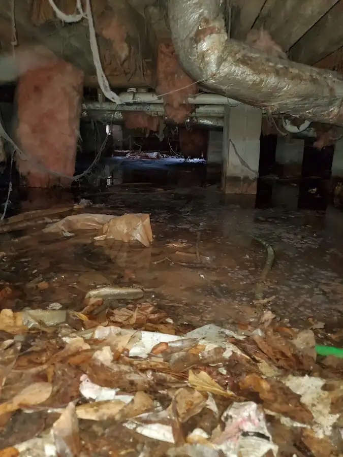 Crawl space flood assessment for Leak Detection & Repair in Middle Valley